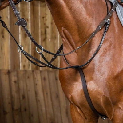Afbeelding van Dyon Martingaal WC Bruin
