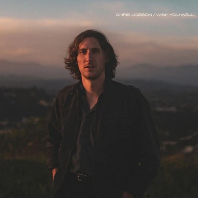 Afbeelding van Chris Jobson Wish You Well (LP)