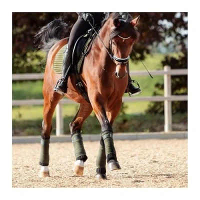 Image de Kavalkade Bandage Pads