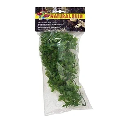 Afbeelding van Congo Ivy Zoomed Liane Plant, L