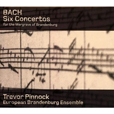 Afbeelding van European Brandenburg Ensemble Pinno Bach Concertos (2 CD)