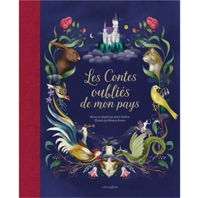 Afbeelding van LES CONTES OUBLIES DE MON PAYS