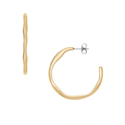 Afbeelding van Skagen Oorbellen goldcoloured, Dames, Maat: One Size, Gold coloured