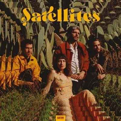 Afbeelding van Satellites (LP)