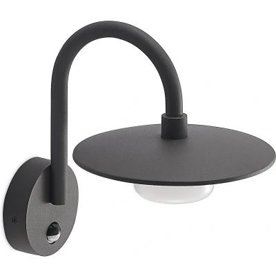 Afbeelding van Lucande buitenwandlamp Zamalino, 31 cm, antraciet, sensor