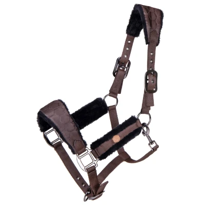 Image de QHP Halter Classy