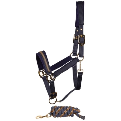 Image de Harry&#039;s Horse Ensemble Licol Samara BlueberryVendu par Agradi