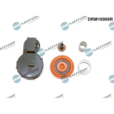 Afbeelding van Membraan, ontluchtingnokkenasbehuizing Dr.Motor Automotive DRM16906R
