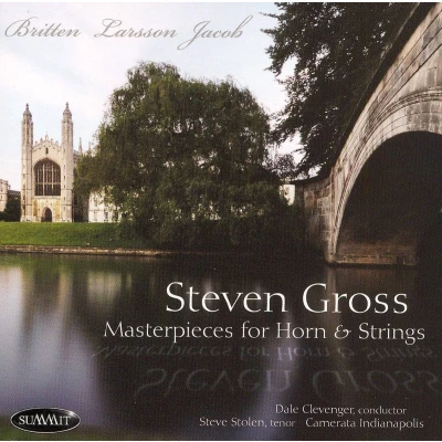 Afbeelding van Masterpieces for Horn and Strings