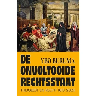 Afbeelding van De onvoltooide rechtsstaat
