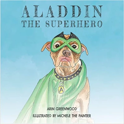 Afbeelding van Aladdin the Superhero