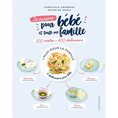 Afbeelding van 100 RECETTES POUR BEBE ET TOUT
