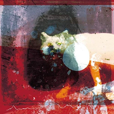 Afbeelding van Mogwai As the Love Continues (2 LPs)