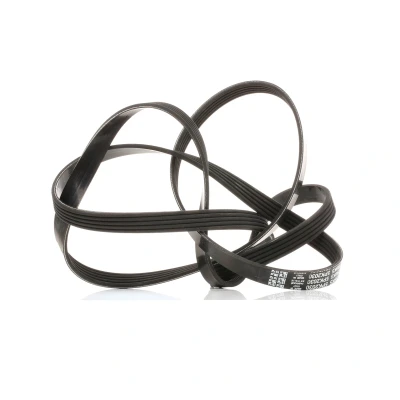 Afbeelding van Poly V riem DAYCO 5PK2030