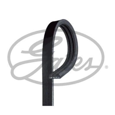 Afbeelding van Poly V riem GATES 3PK810SF