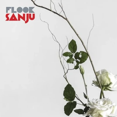 Afbeelding van Flook Sanju (LP)
