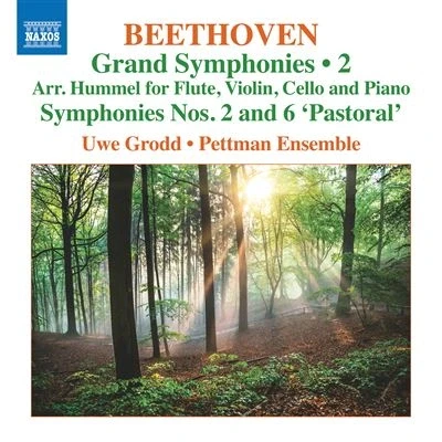 Image de Grandes (Volume 2) Symphonies Numéros 2 et 6 &quot;Pastorale&quot;