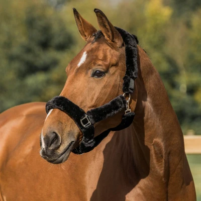 Afbeelding van Horka Halster met Bont Bescherming Blauw Mini