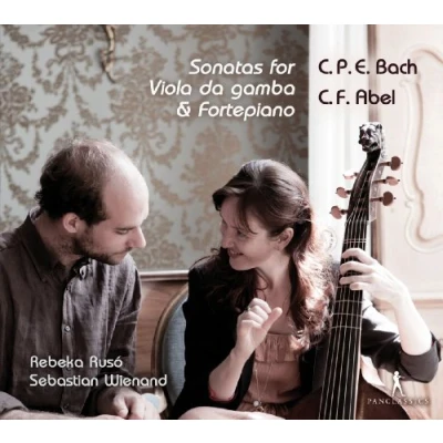 Afbeelding van Wienand Ruso Sonatas For Viola Da Gamba (CD)