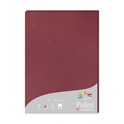 Image de Etui de 25 feuilles Pollen A4 Bordeaux 210g