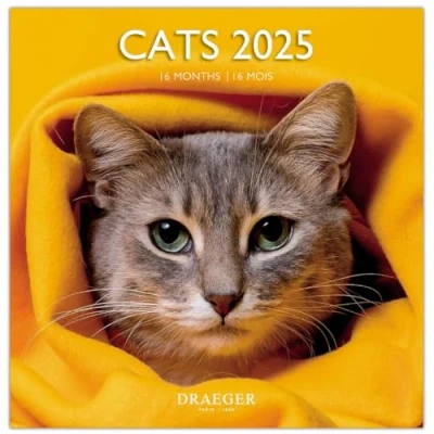 Afbeelding van Grote wandkalender, 29 x cm, 2025, september 2024 tot december kat