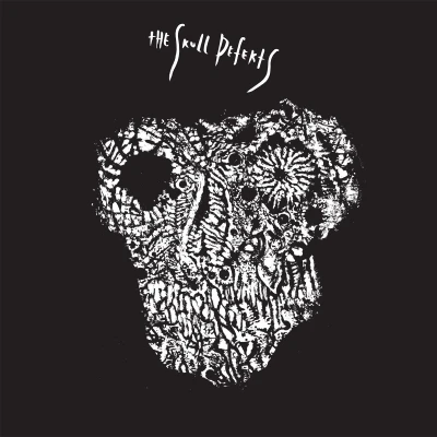 Afbeelding van Skull Defekts (CD)