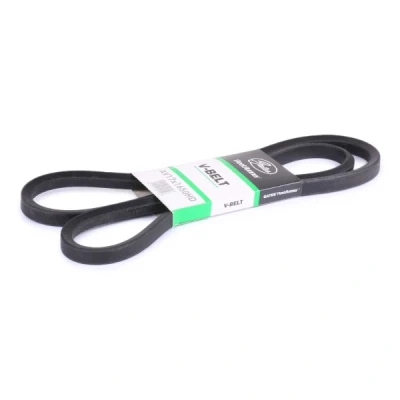 Afbeelding van Gates V riem 6742ES