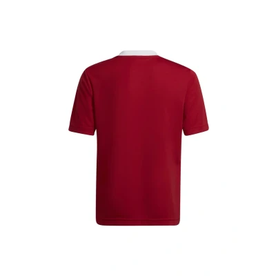 Afbeelding van adidas Performance Entrada 22 Voetbalshirt voor kinderen, Maat: 152, Team power red