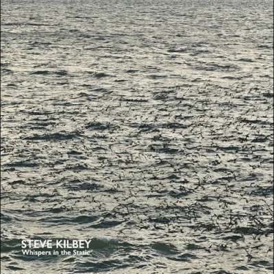 Afbeelding van Steve Kilbey Whispers In the Attic (2 LPs)