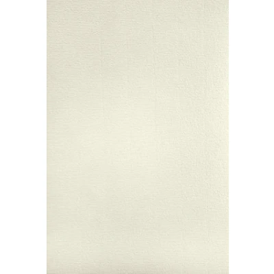 Afbeelding van Netuno 20 x ivoorkleurig karton, geribbeld, A4, 297 210 mm, 220 g, Aster Laid Ivory, hoogwaardig decoratief papier, geribbeld structuurpapier, voor decoratie, documenten, uitnodigingen,