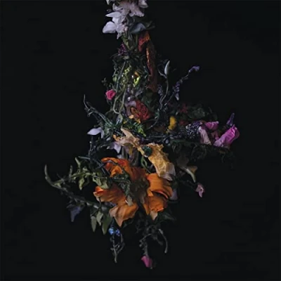 Afbeelding van Big Brave Nature Morte (CD)