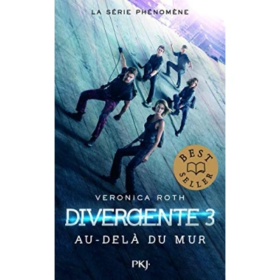 Afbeelding van Au dela du mur
