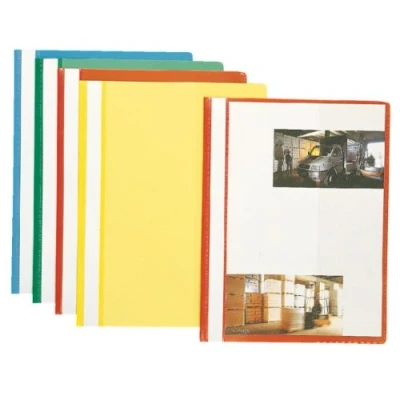 Afbeelding van Esselte A4 geassorteerde kunststof report bestanden (10 stuks)