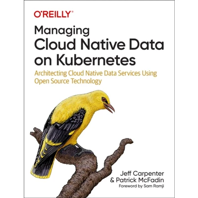 Afbeelding van Managing Cloud Native Data on Kubernetes