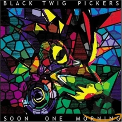 Afbeelding van Black Twig Pickers Soon One Morning (CD)