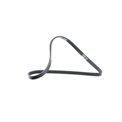Afbeelding van Poly V riem DAYCO 3PK740