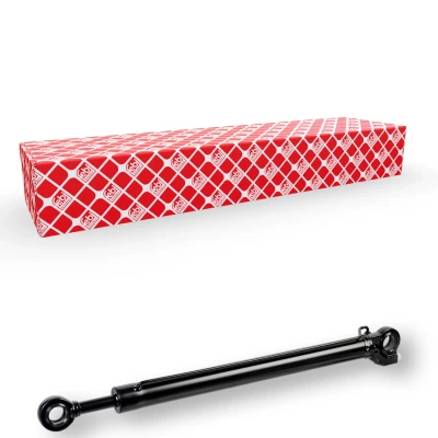 Afbeelding van FEBI BILSTEIN 175362 Kantelcilinder, cabine
