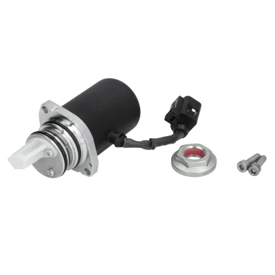 Afbeelding van BorgWarner DS118611 Pomp, lamellenkoppeling 4 wielaandrijving