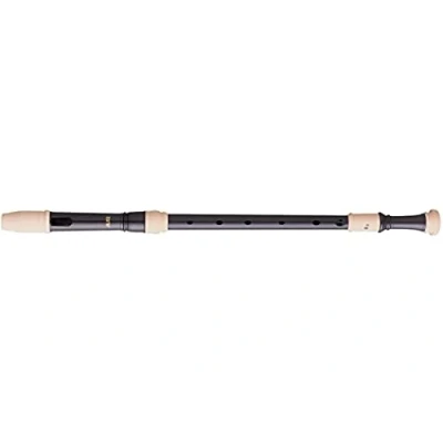 Image de FLUTE A BEC ALTO EN PLASTIQUE AULOS 309A
