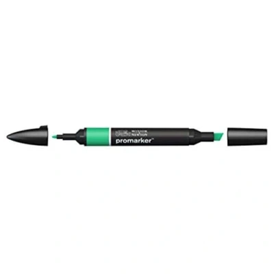 Image de Winsor &amp; Newton « ProMarker » 0203235 Marqueur professionnel 2 pointes, fin et large pour dessins, design mises en page Émeraude