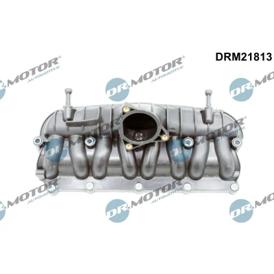 Afbeelding van Zuigbuismodule Dr.Motor Automotive DRM21813