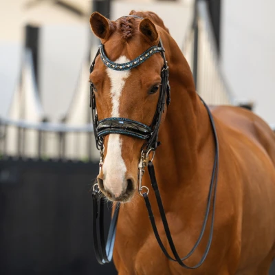 Image de HB Showtime Double Bridle One in a Million