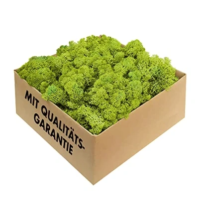 Afbeelding van GJS IJslands mos, 1 kg, 500 g of 200 g, verschillende kleuren Geconserveerd, natuurlijk mos (IJslands mos) om mee te knutselen, bijvoorbeeld voor Pasen modelbouw (lichtgroen, 4 kg).