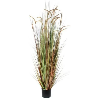 Afbeelding van Mica Decorations Pluimgras Dogtail Kunstplant H180 x Ø85 cm