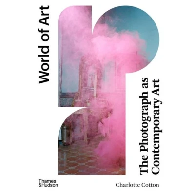 Image de The photograph as contemporary art