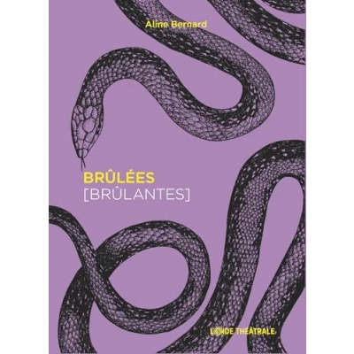 Afbeelding van Brulees
