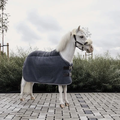 Image de Kentucky Couverture Polaire Heavy Gris 80/122