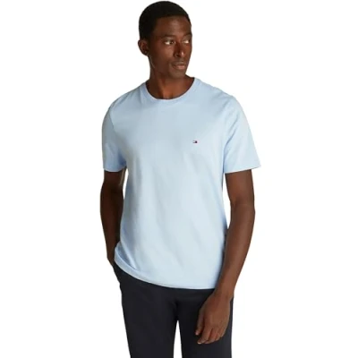 Image de Tommy Hilfiger ESS SEASONAL REG FIT SOLID TEE MW0MW39995 S/S T shirt, bleu, M, Bleu (Breezy Blue), M