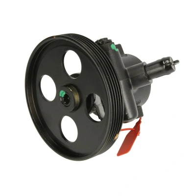 Afbeelding van Lauber Servopomp 55.0355