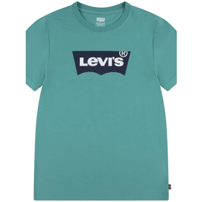 Afbeelding van Levi&#039;s Batwing TEE Unisex Tshirt print voor kinderen, Maat: 140, Porcelain green